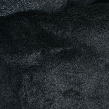 Pelo Corto Nero