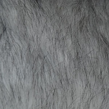 Pelo Moda Grigio Chiaro