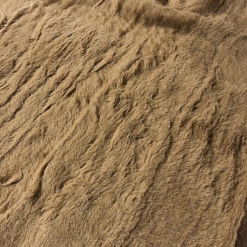 Accoppiata Pelo Corto Beige