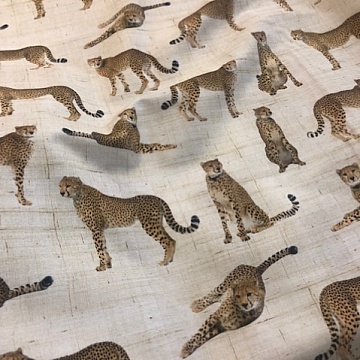 Panama Fantasia Leopardo 2019 H 280 Cm