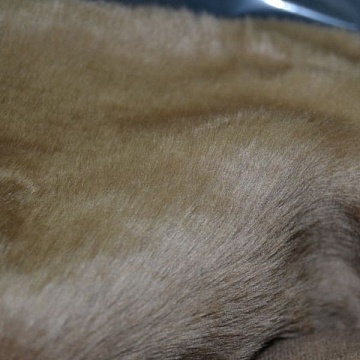 Pelo Moda Beige